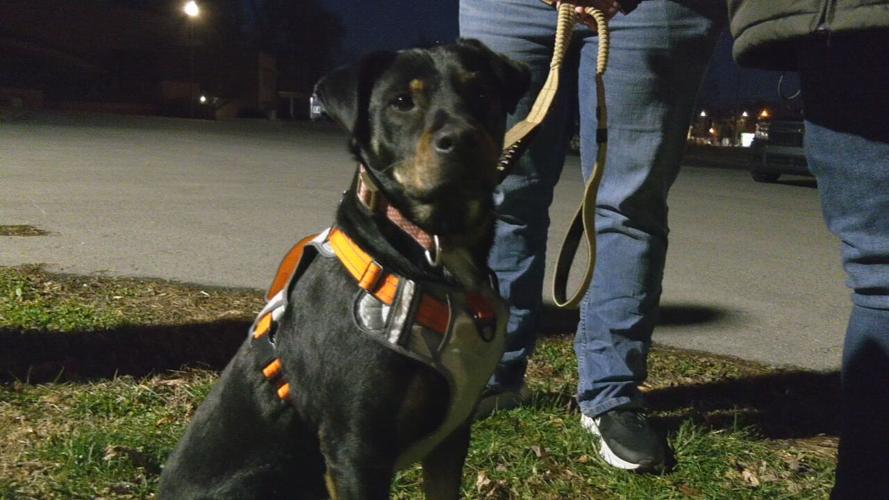 Dogs at UPS crash site adopted - 12.19.25