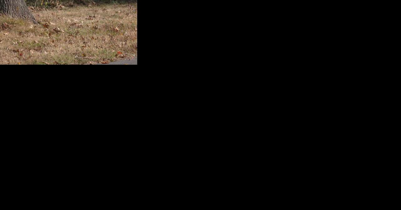 Oldham County issues burn ban through September - Vimarsana News