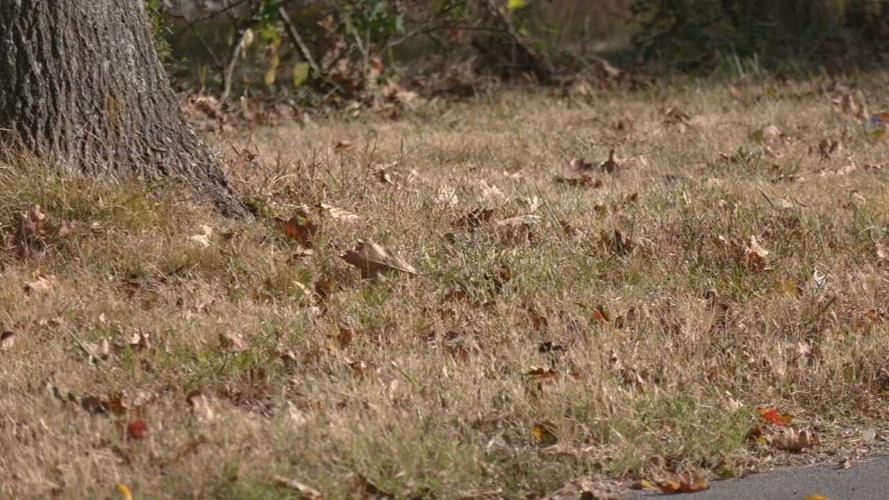 Several counties issue burn bans due to lack of rain