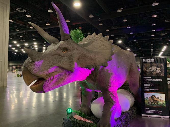 Realistic and Life-Sized creatures take over the Kentucky Exposition Center with the Dino & Dragon Stroll