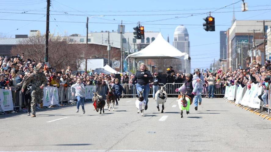 Goats race in Louisville at Bockfest.JPG
