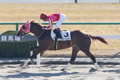 MASTER FENCER - COURTESY CHURCHILL DOWNS.jpeg
