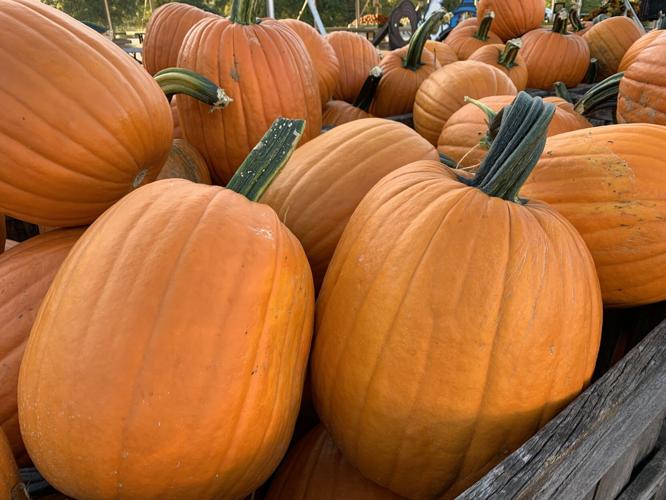 Huber's Orchard and Winery (30).JPG