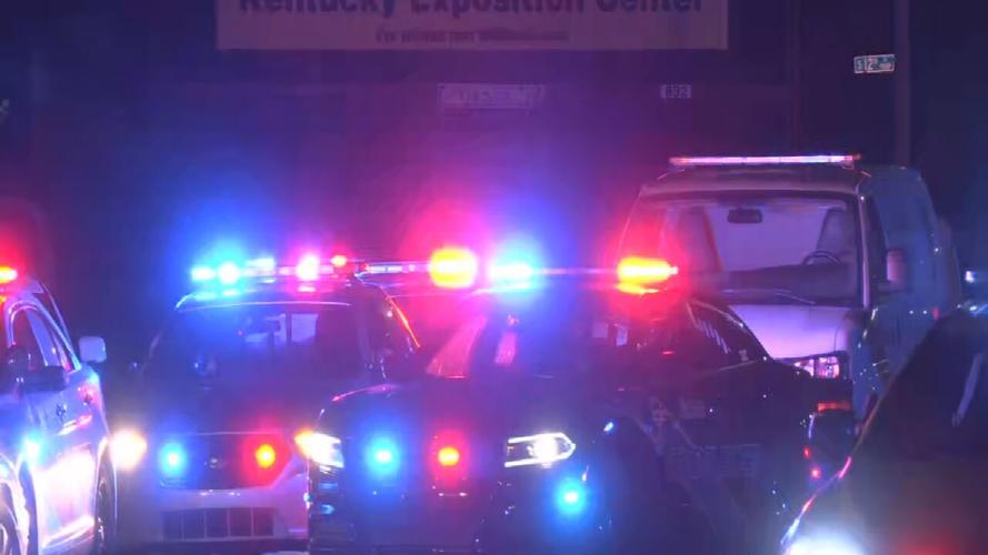 Brashear Drive double shooting