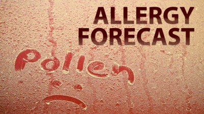 Allergy Update: Pollen Forecast