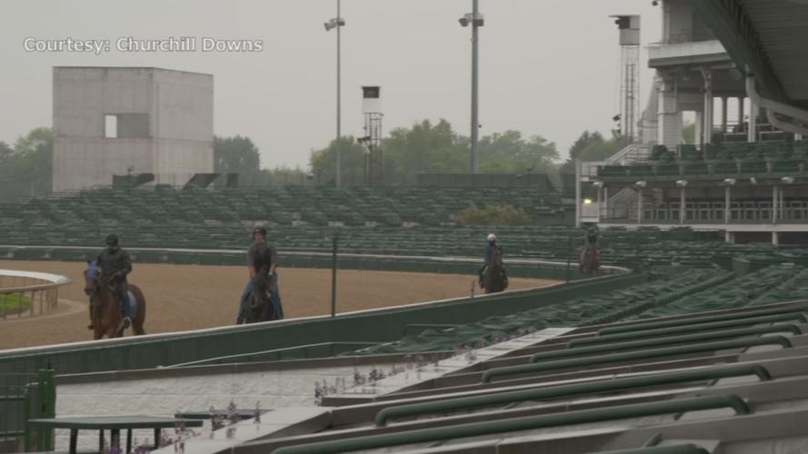 Horses back at Churchill 3.jpg