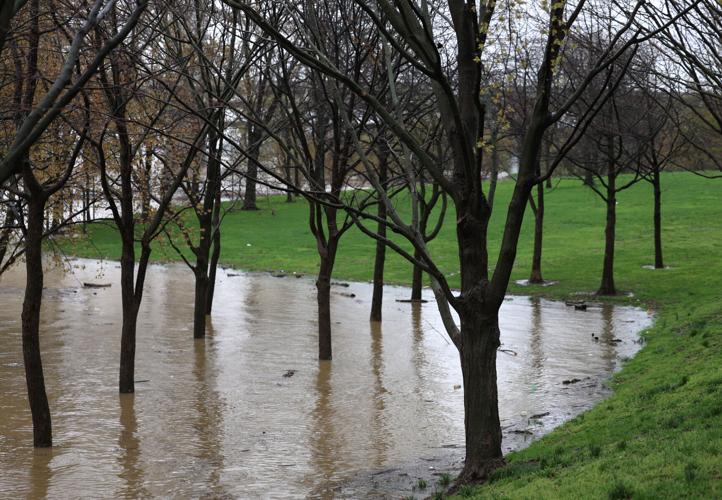 Trees underway at Waterfront Park - April 6.JPG