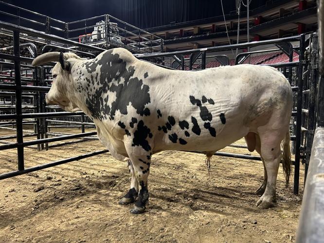 PBR Unleash the Beast tour
