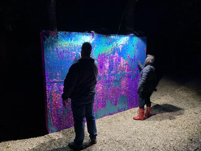 Wild Lights at Louisville Zoo