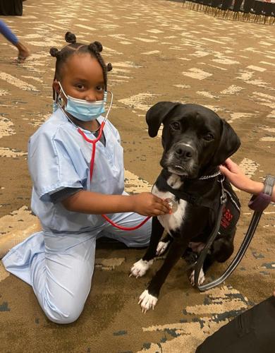 Future Healers doctors.jpg