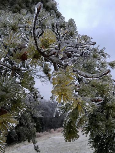 ICE - GRAEFENBURG - SHELBY COUNTY.jpg