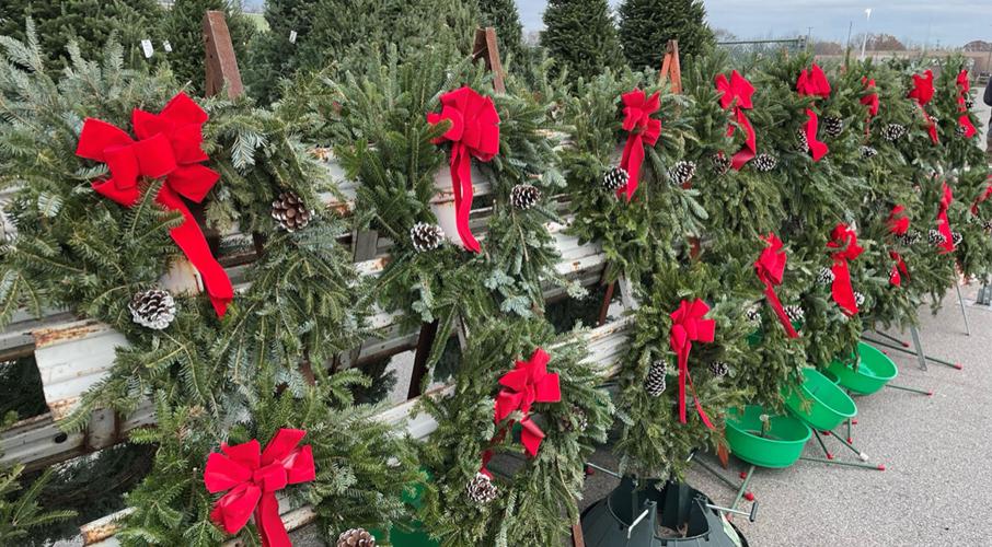 Wreaths at Martin's Christmas Tree Lot in Jeffersonville, Indiana