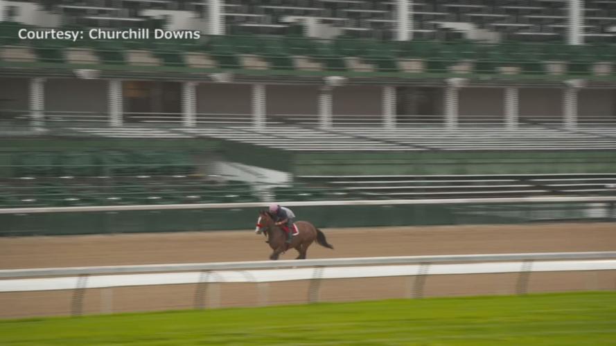 Horses back at Churchill 2.jpg