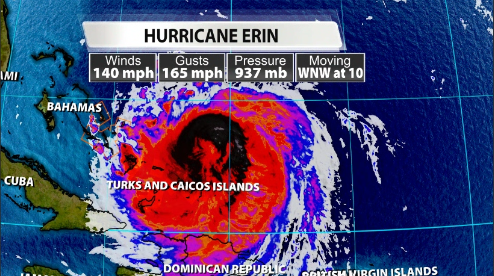 erin saty.PNG