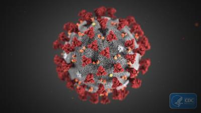 CORONAVIRUS .jpg
