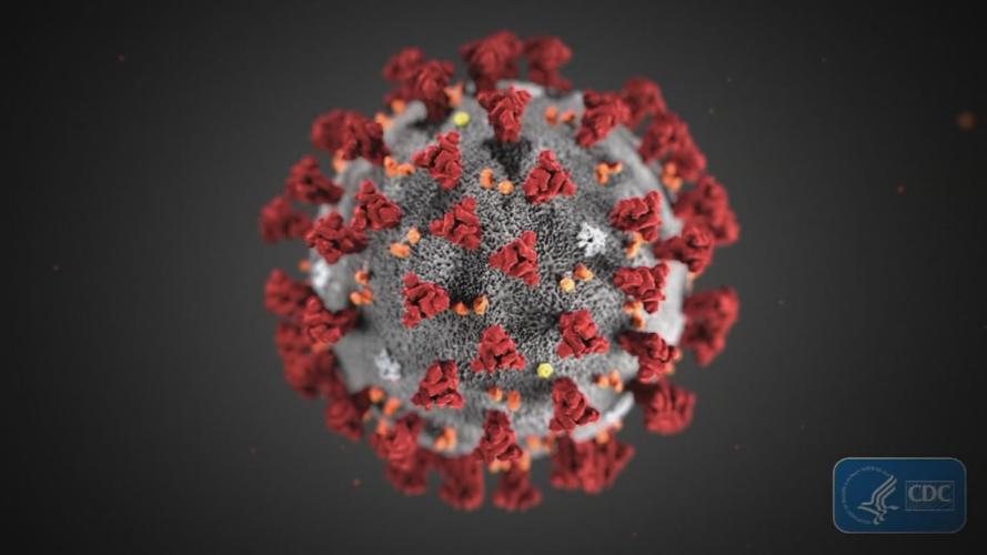 CORONAVIRUS .jpg