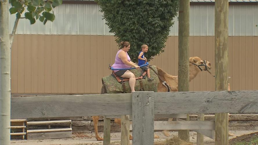 Ark Encounter (interior) in Williamstown, Kentucky
