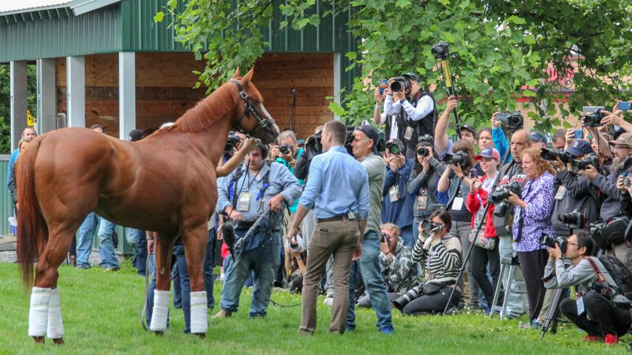 Justify post-Belmont