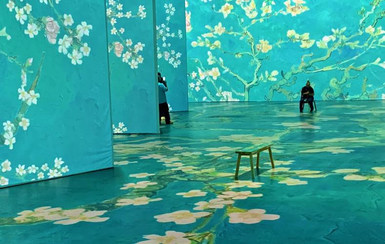 "Beyond Van Gogh: The Immersive Experience"