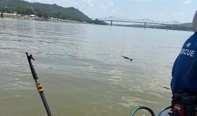 Debris in Ohio River