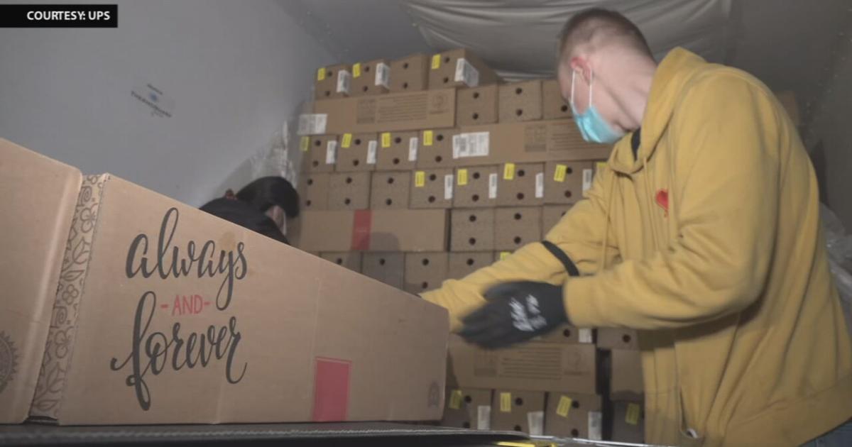 UPS ramps up deliveries of flowers for a busy Valentine's Day weekend ...