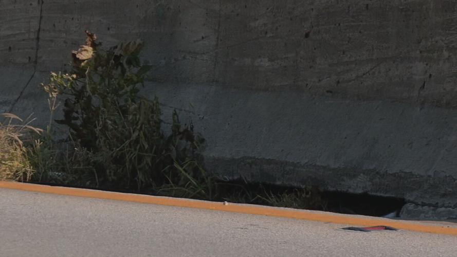 I-64 flooding-weeds in drain