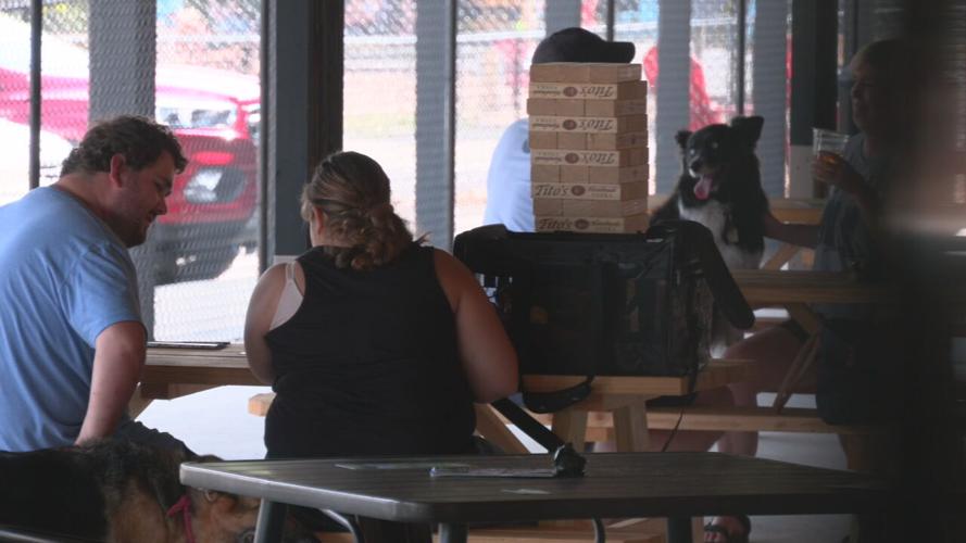 Inside Club K9 Dog Bar.jpeg