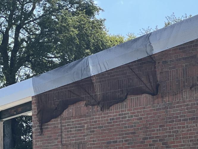 Netting around Wright Elementary School installed after bat infestation