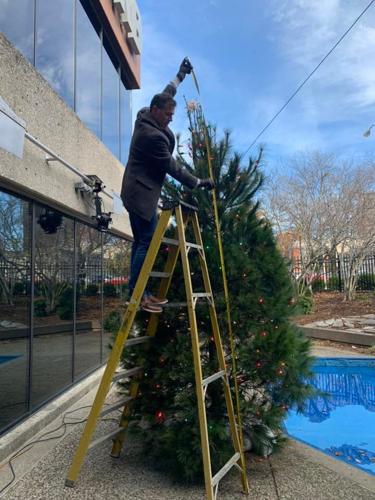 JUDE'S JINGLE TREE 2021 1.jpg