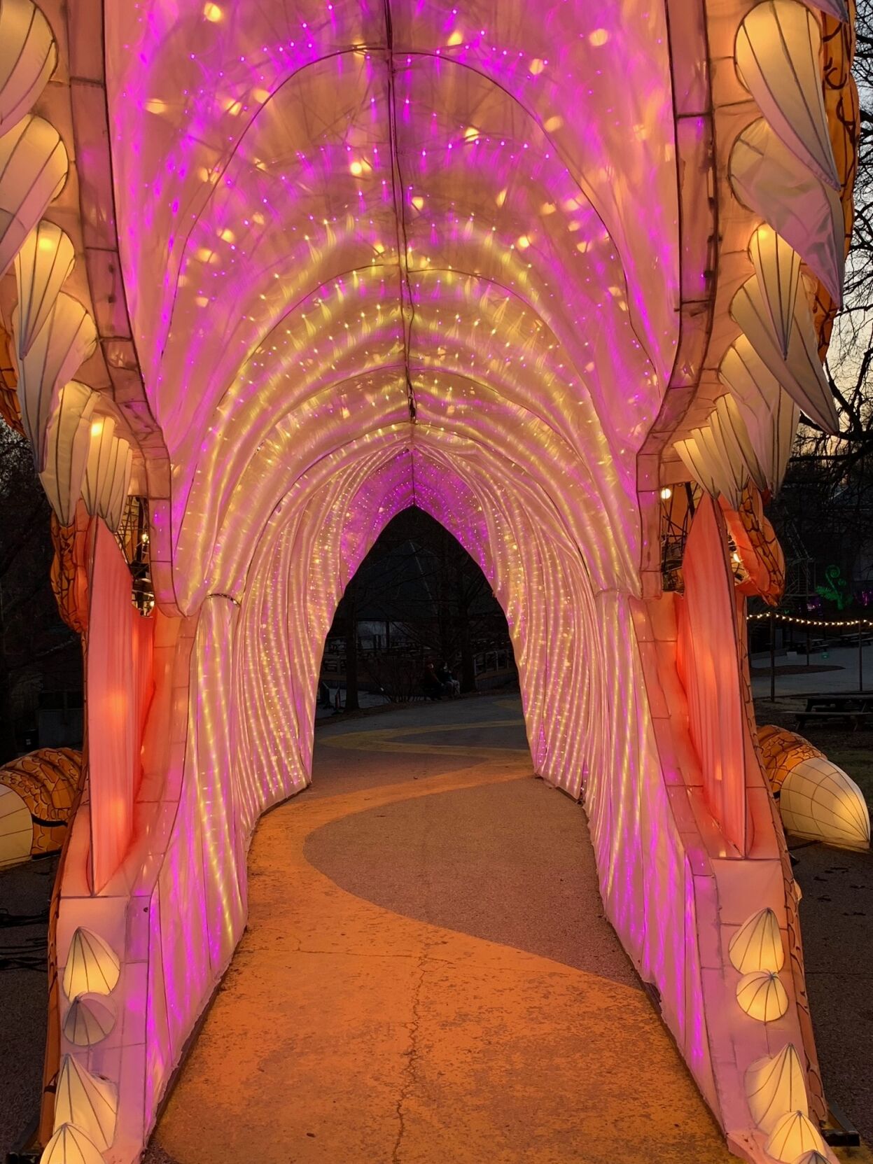 Louisville Zoo Wild Lights Festival 2021 (8).jpg