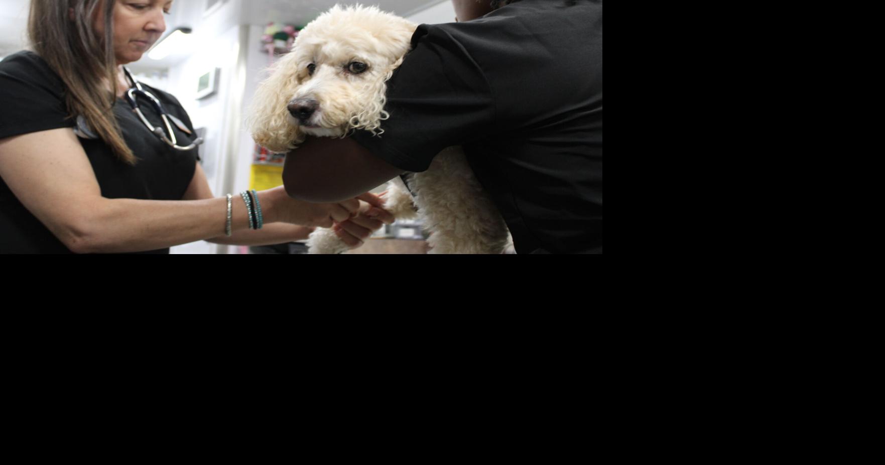 KHS CARE-a-van provides pet veterinary wellness services at Oxmoor Auto Group | Community events