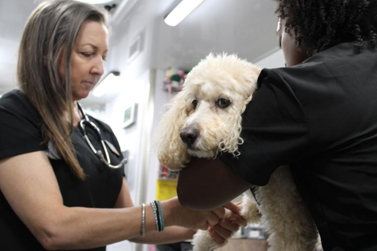 KHS - CARE-A-VAN - VETERINARY CARE  6-20--2025 (4).JPG