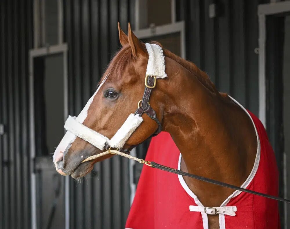 UM grad Ramiro Restrepo has Mage in the Kentucky Derby