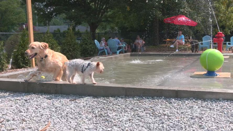 Club K9 Splash Pad (2).jpeg