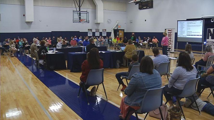 nelson county schools