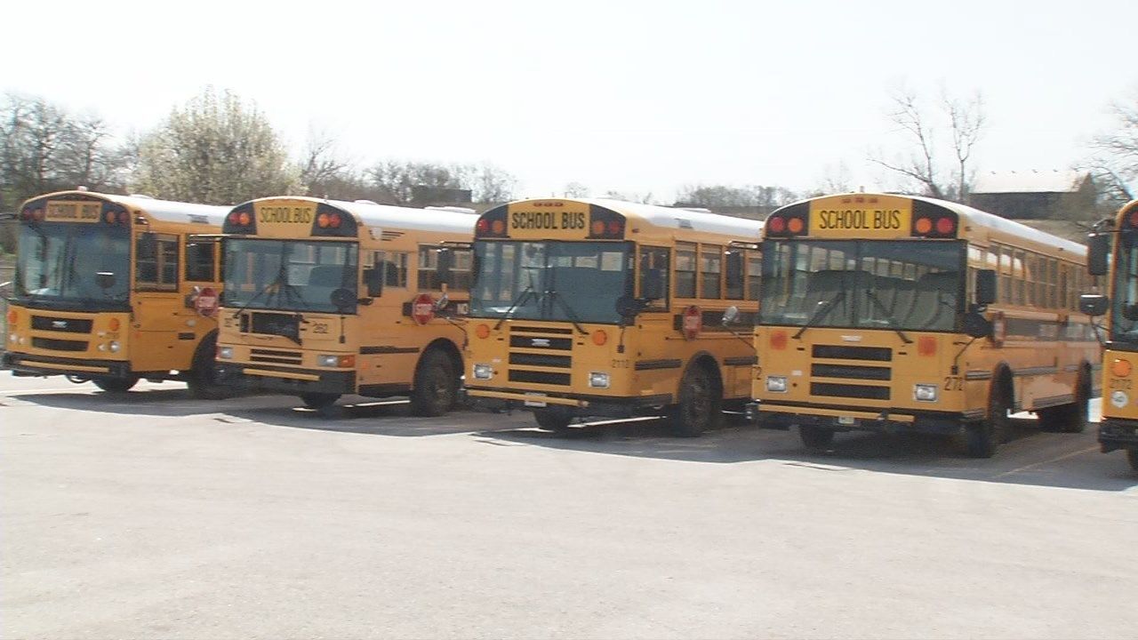 stafford county school bus driver salary stafford county school bus driver salary