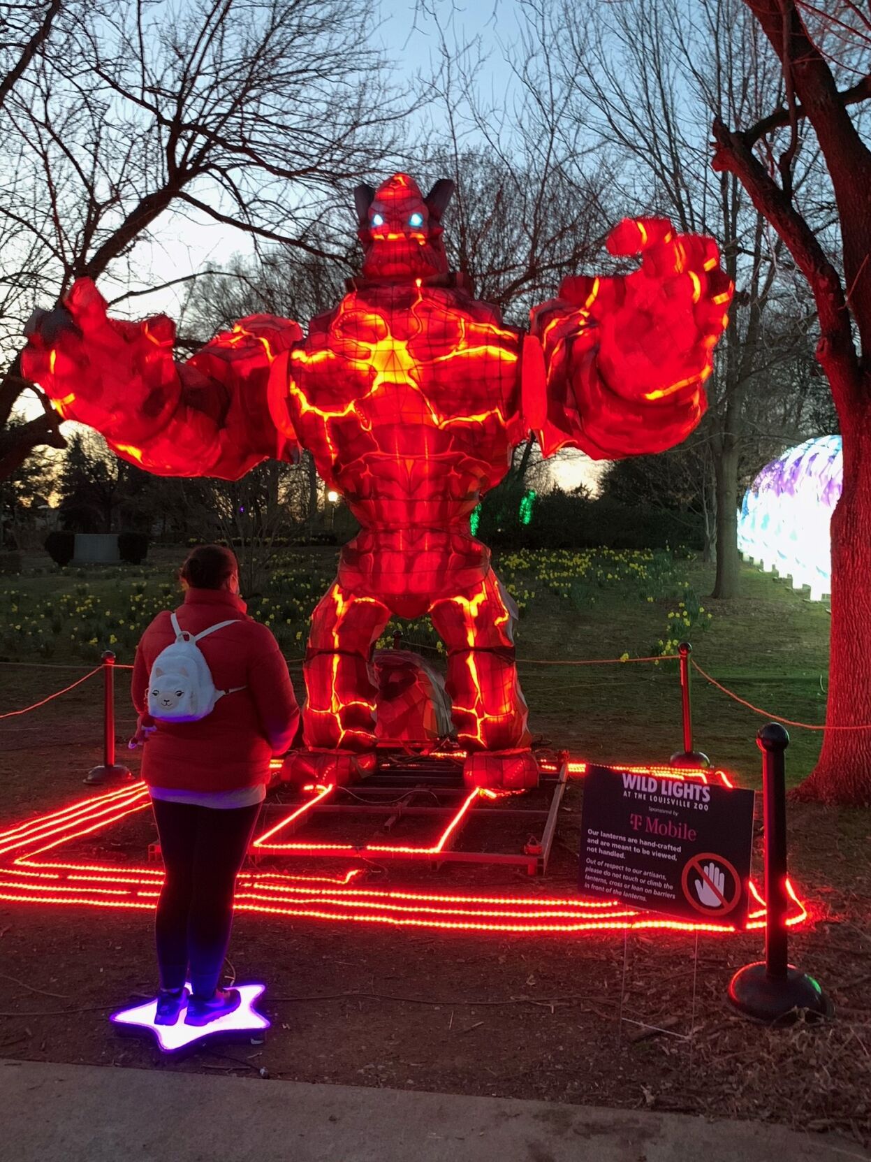 Louisville Zoo Wild Lights Festival 2021 (10).jpg