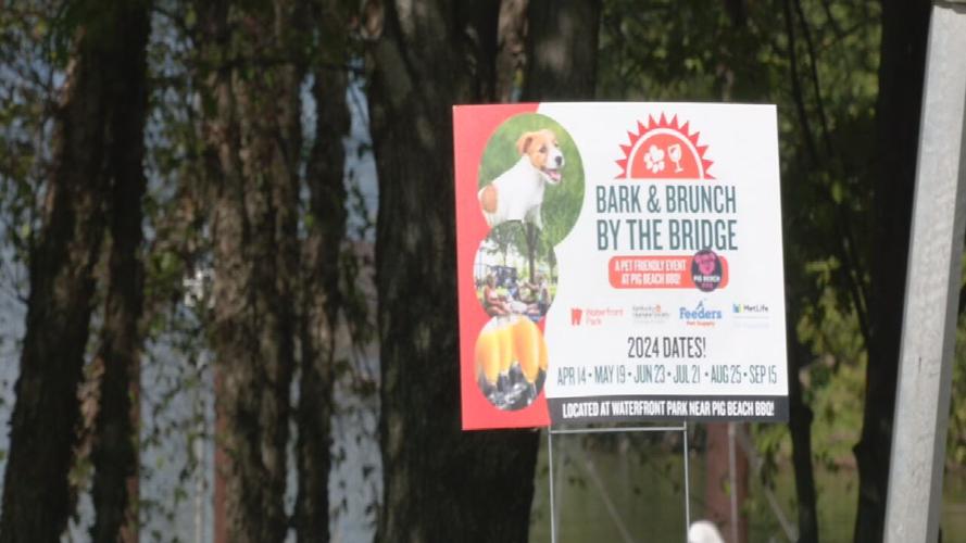 Bark and Brunch by the Bridge