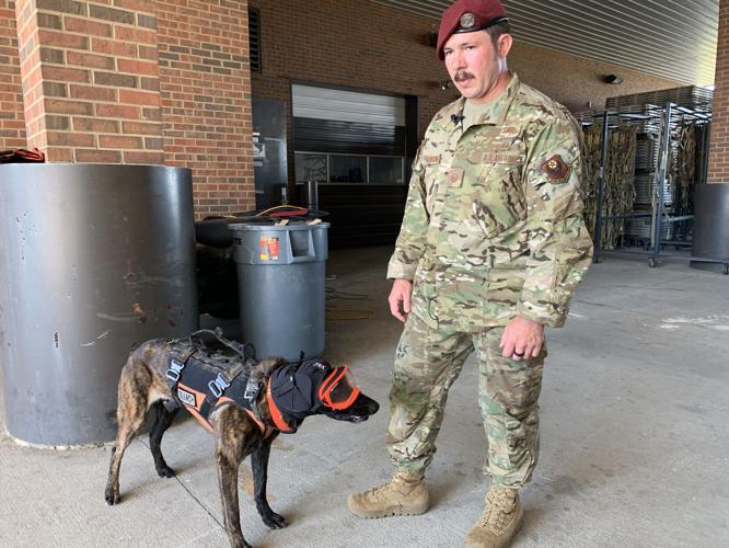 Kentucky Air National Guard Search and Rescue K-9 Callie