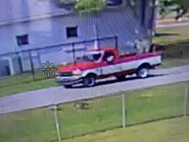 Mums stolen from Fairdale High School. Image from Fairdale High School social media.