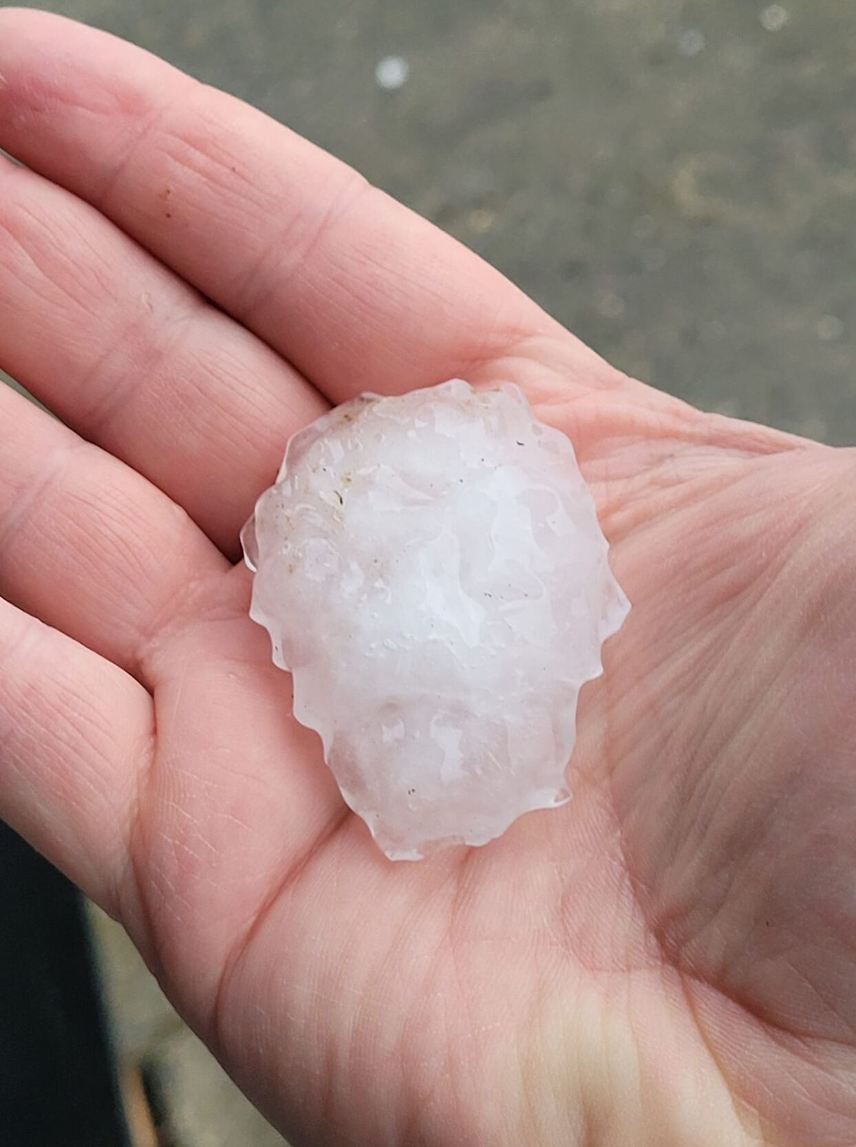 Hail in Madison 3-14-24 (2).jpg