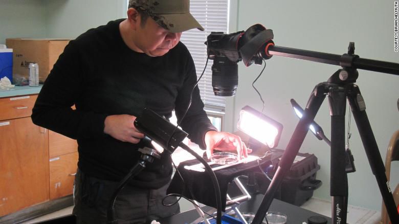 Researcher Marvin Altamia, submerged forest