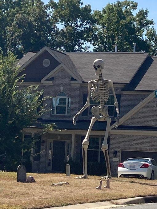 Home Depot S Giant Halloween Skeleton Sells Out Online I Love Him National Wdrb Com