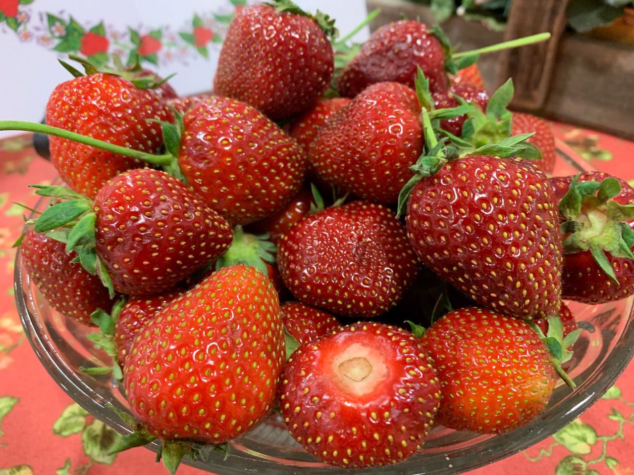 strawberry festival