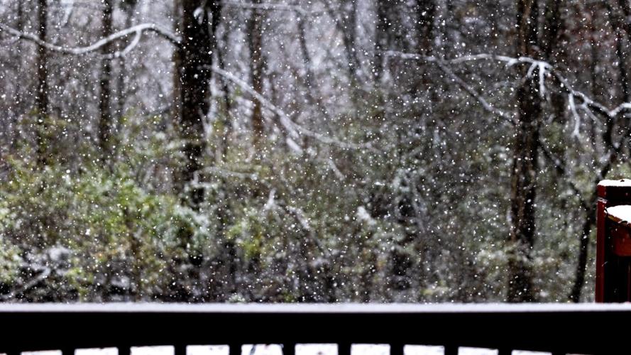 Photos of snow accumulation on Nov. 12, 2022.