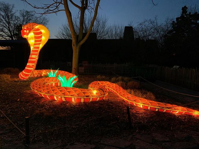 Louisville Zoo Wild Lights Festival 2021 (11).jpg