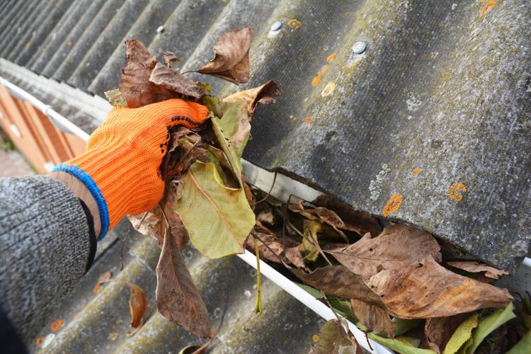 Gutter