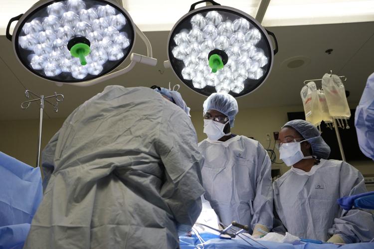 Organ Donation Diversity