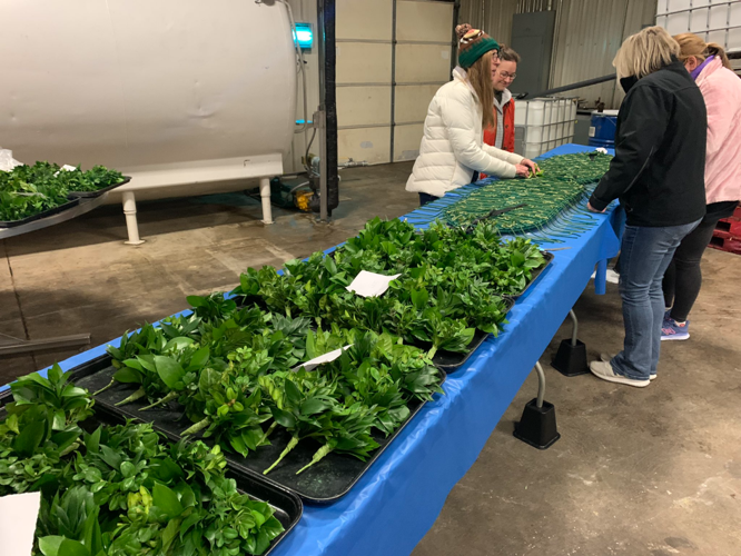 Workers create Garland of Roses for Derby 149