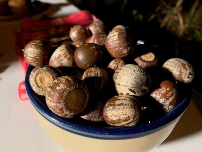 ACRON FORAGING KK.jpg